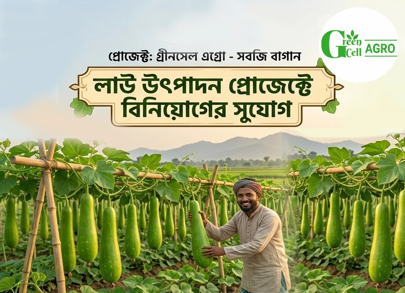 গ্রীনসেল এগ্রো - লাউ বাগান